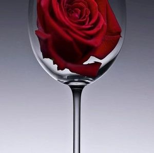 Meet your Posher, Beverly